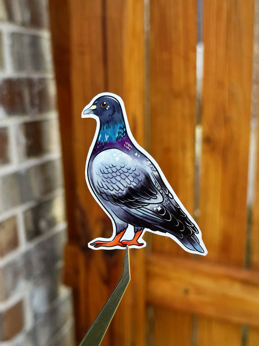 Die-cut sticker of a pigeon bird with iridescent blue and purple neck, gray and black wings, and orange legs, in front of a wooden fence and brick wall.