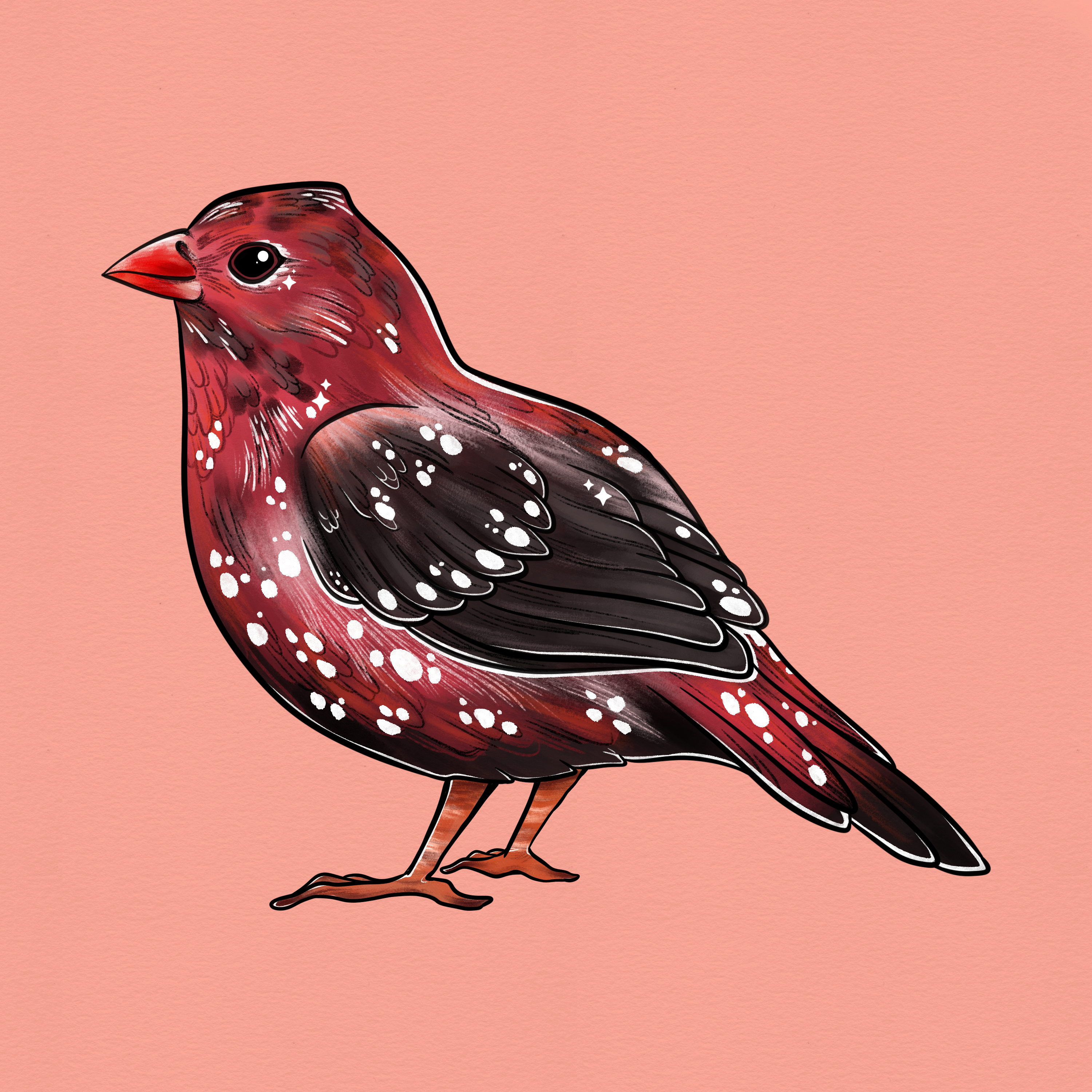 Strawberry Finch waterproof sticker